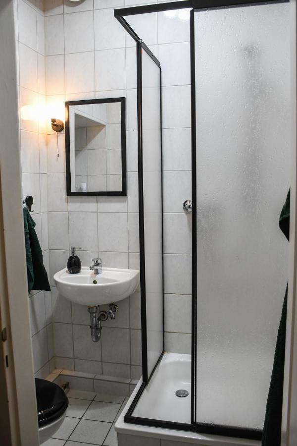 Moderne Ferienwohnung In Direkter Naehe Zur Uni, Netflix Gratis, Wlan, Waschmaschine, Geschirrspueler, Zentrum, Chemnitz Dış mekan fotoğraf